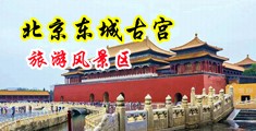 鸡巴快速插屄视频中国北京-东城古宫旅游风景区